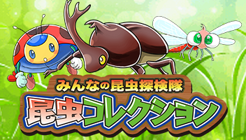 昆虫コレクション